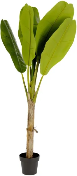 Banano, Artificial plant, green/black, H160x90x90 cm